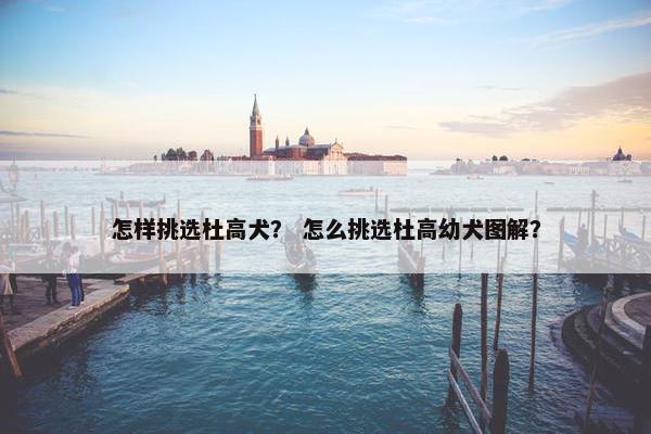 怎样挑选杜高犬？ 怎么挑选杜高幼犬图解？