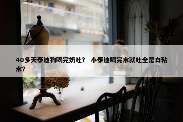 40多天泰迪狗喝完奶吐？ 小泰迪喝完水就吐全是白粘水？
