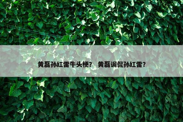 黄磊孙红雷牛头梗？ 黄磊调侃孙红雷？