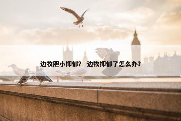 边牧胆小抑郁？ 边牧抑郁了怎么办？