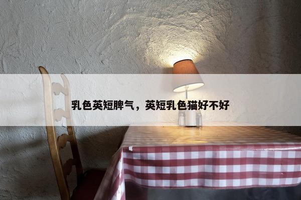 乳色英短脾气，英短乳色猫好不好