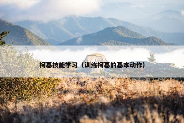 柯基技能学习（训练柯基的基本动作）