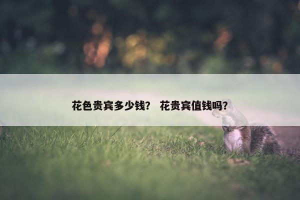 花色贵宾多少钱？ 花贵宾值钱吗？