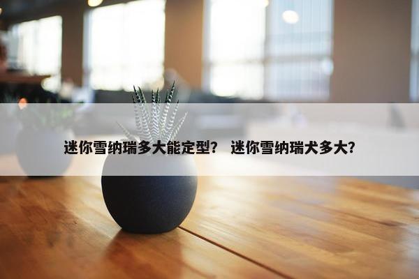 迷你雪纳瑞多大能定型？ 迷你雪纳瑞犬多大？