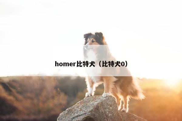 homer比特犬（比特犬0）