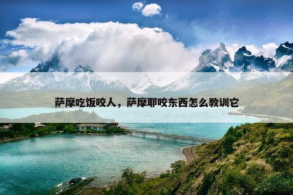 萨摩吃饭咬人，萨摩耶咬东西怎么教训它