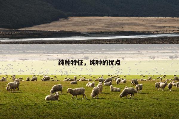 纯种特征，纯种的优点