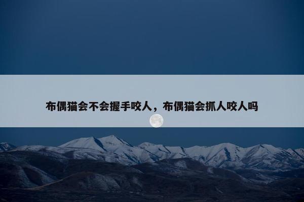 布偶猫会不会握手咬人，布偶猫会抓人咬人吗