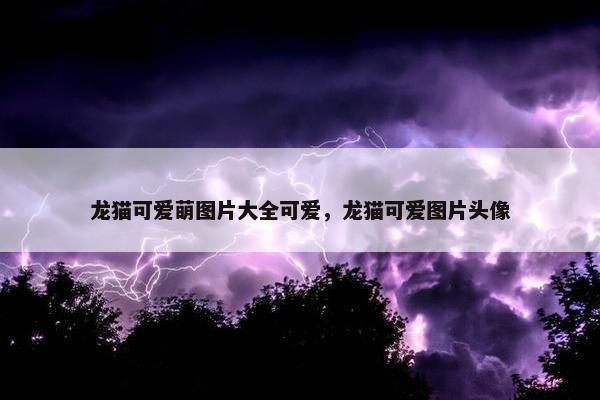 龙猫可爱萌图片大全可爱，龙猫可爱图片头像