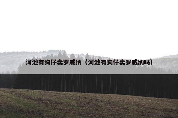 河池有狗仔卖罗威纳（河池有狗仔卖罗威纳吗）