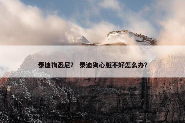 泰迪狗悉尼？ 泰迪狗心脏不好怎么办？