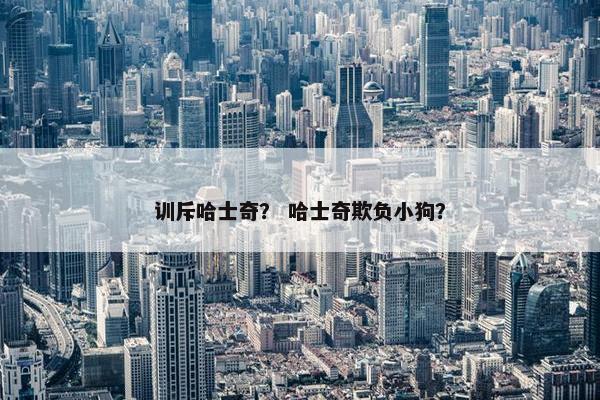 训斥哈士奇？ 哈士奇欺负小狗？
