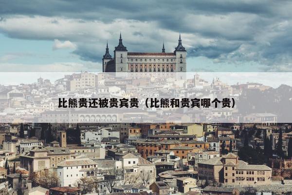 比熊贵还被贵宾贵（比熊和贵宾哪个贵）
