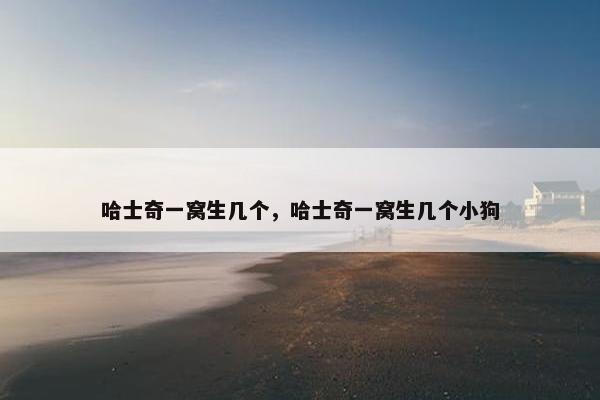哈士奇一窝生几个，哈士奇一窝生几个小狗