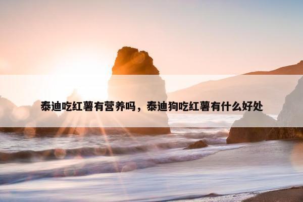 泰迪吃红薯有营养吗，泰迪狗吃红薯有什么好处