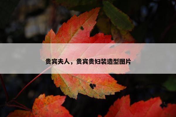 贵宾夫人，贵宾贵妇装造型图片