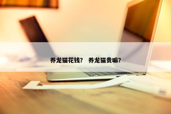 养龙猫花钱？ 养龙猫贵嘛？