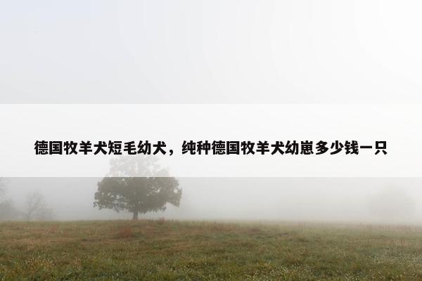 德国牧羊犬短毛幼犬，纯种德国牧羊犬幼崽多少钱一只