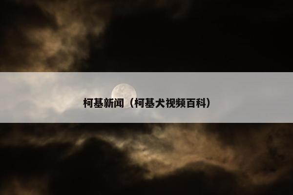 柯基新闻（柯基犬视频百科）