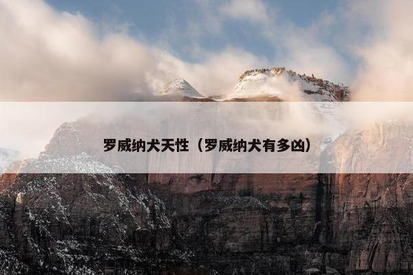 罗威纳犬天性（罗威纳犬有多凶）