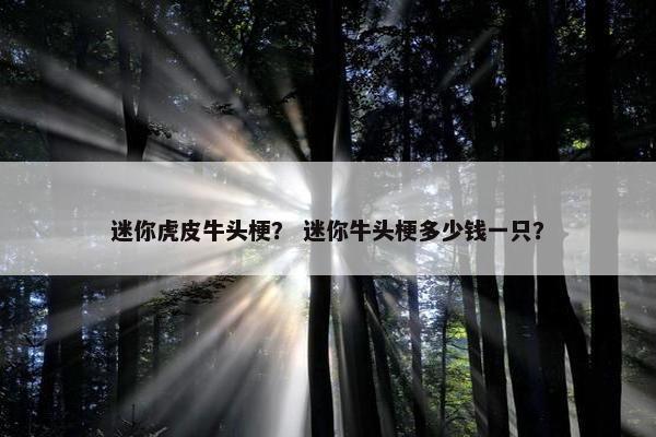 迷你虎皮牛头梗？ 迷你牛头梗多少钱一只？