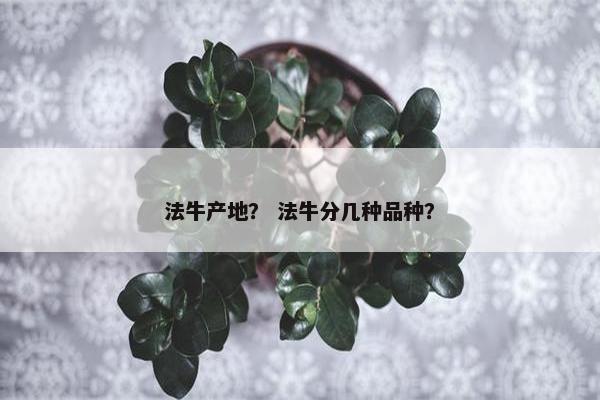 法牛产地？ 法牛分几种品种？