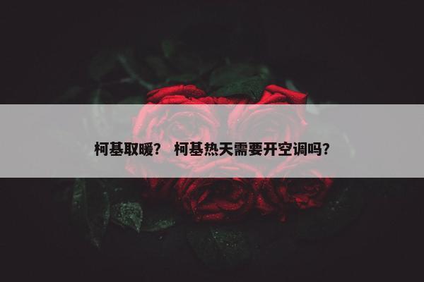 柯基取暖？ 柯基热天需要开空调吗？