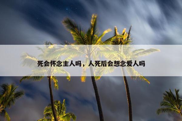 死会怀念主人吗，人死后会想念爱人吗