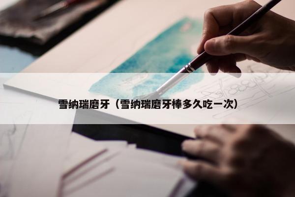 雪纳瑞磨牙（雪纳瑞磨牙棒多久吃一次）