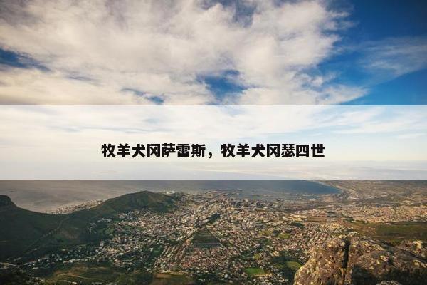 牧羊犬冈萨雷斯，牧羊犬冈瑟四世