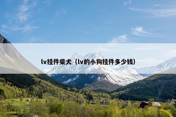 lv挂件柴犬（lv的小狗挂件多少钱）