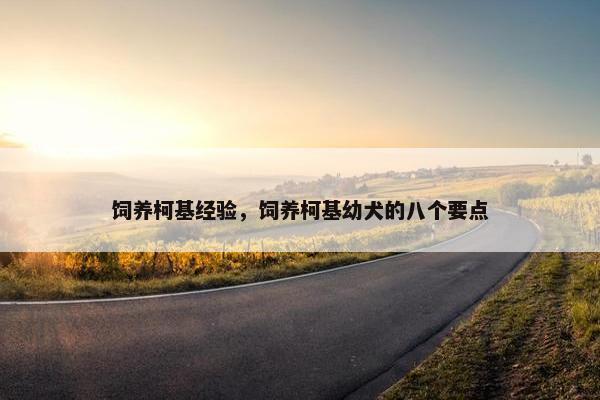 饲养柯基经验，饲养柯基幼犬的八个要点