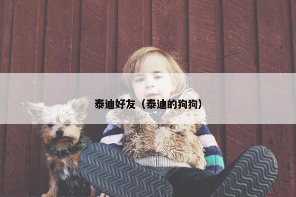 泰迪好友（泰迪的狗狗）