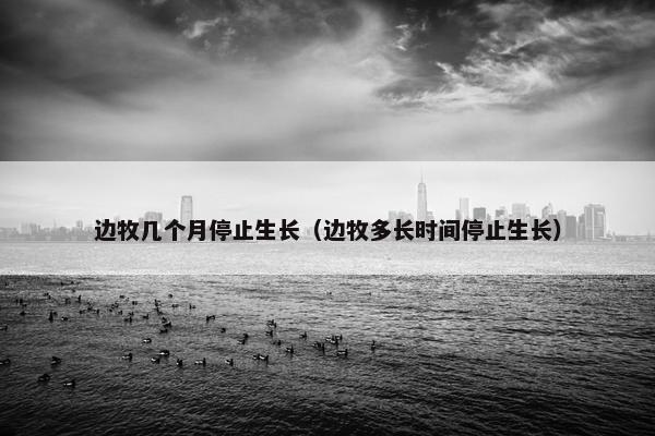 边牧几个月停止生长（边牧多长时间停止生长）