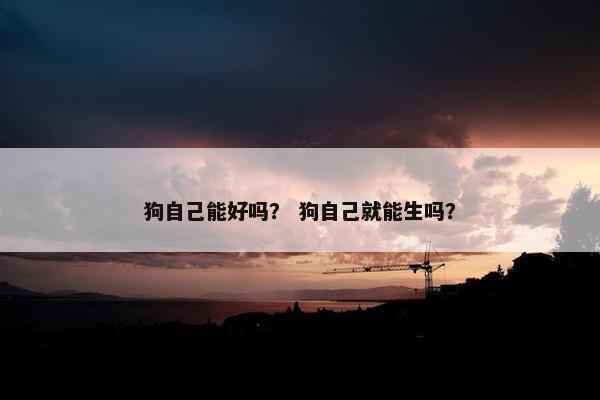 狗自己能好吗？ 狗自己就能生吗？