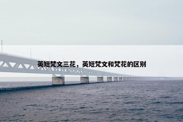 英短梵文三花，英短梵文和梵花的区别