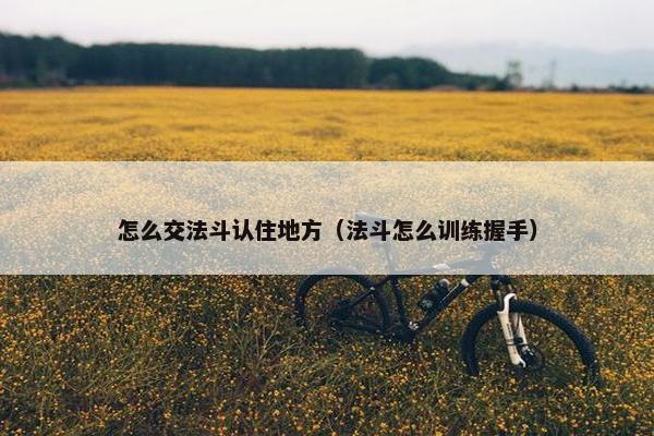 怎么交法斗认住地方（法斗怎么训练握手）