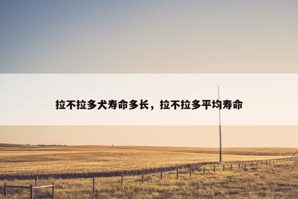拉不拉多犬寿命多长，拉不拉多平均寿命