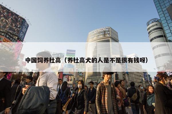 中国饲养杜高（养杜高犬的人是不是很有钱呀）