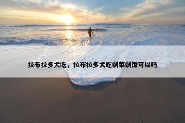 拉布拉多犬吃，拉布拉多犬吃剩菜剩饭可以吗