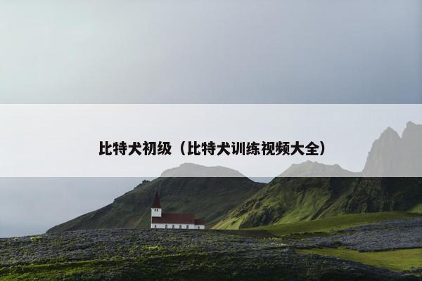 比特犬初级（比特犬训练视频大全）