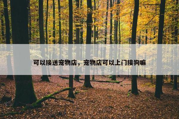 可以接送宠物店，宠物店可以上门接狗嘛