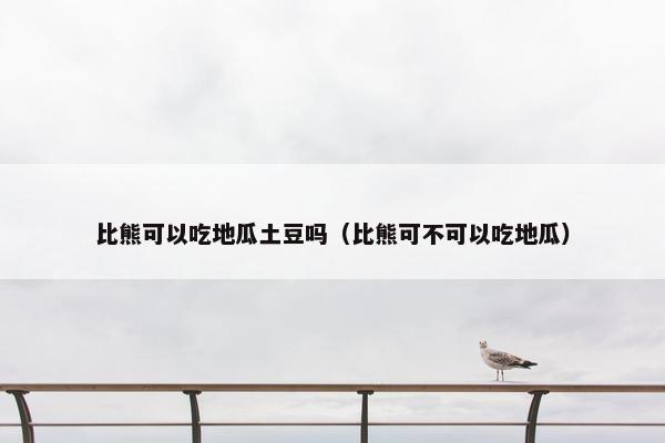 比熊可以吃地瓜土豆吗（比熊可不可以吃地瓜）