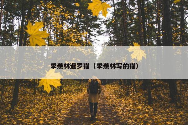 季羡林暹罗猫（季羡林写的猫）