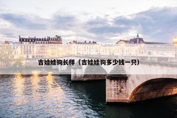 吉娃娃狗长样（吉娃娃狗多少钱一只）
