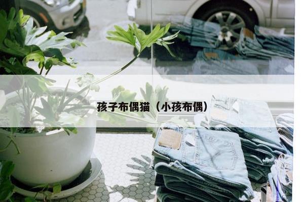 孩子布偶猫（小孩布偶）