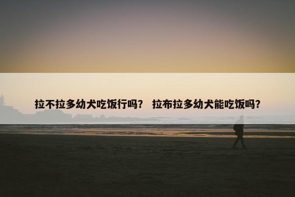 拉不拉多幼犬吃饭行吗？ 拉布拉多幼犬能吃饭吗？