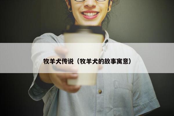 牧羊犬传说（牧羊犬的故事寓意）