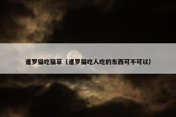 暹罗猫吃猫草（暹罗猫吃人吃的东西可不可以）