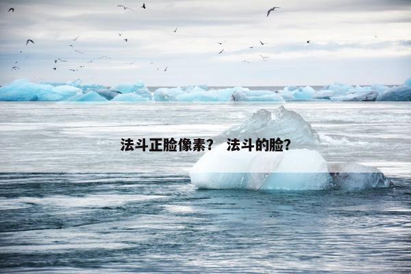 法斗正脸像素？ 法斗的脸？